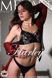 Presenting Harley Presenting Harley