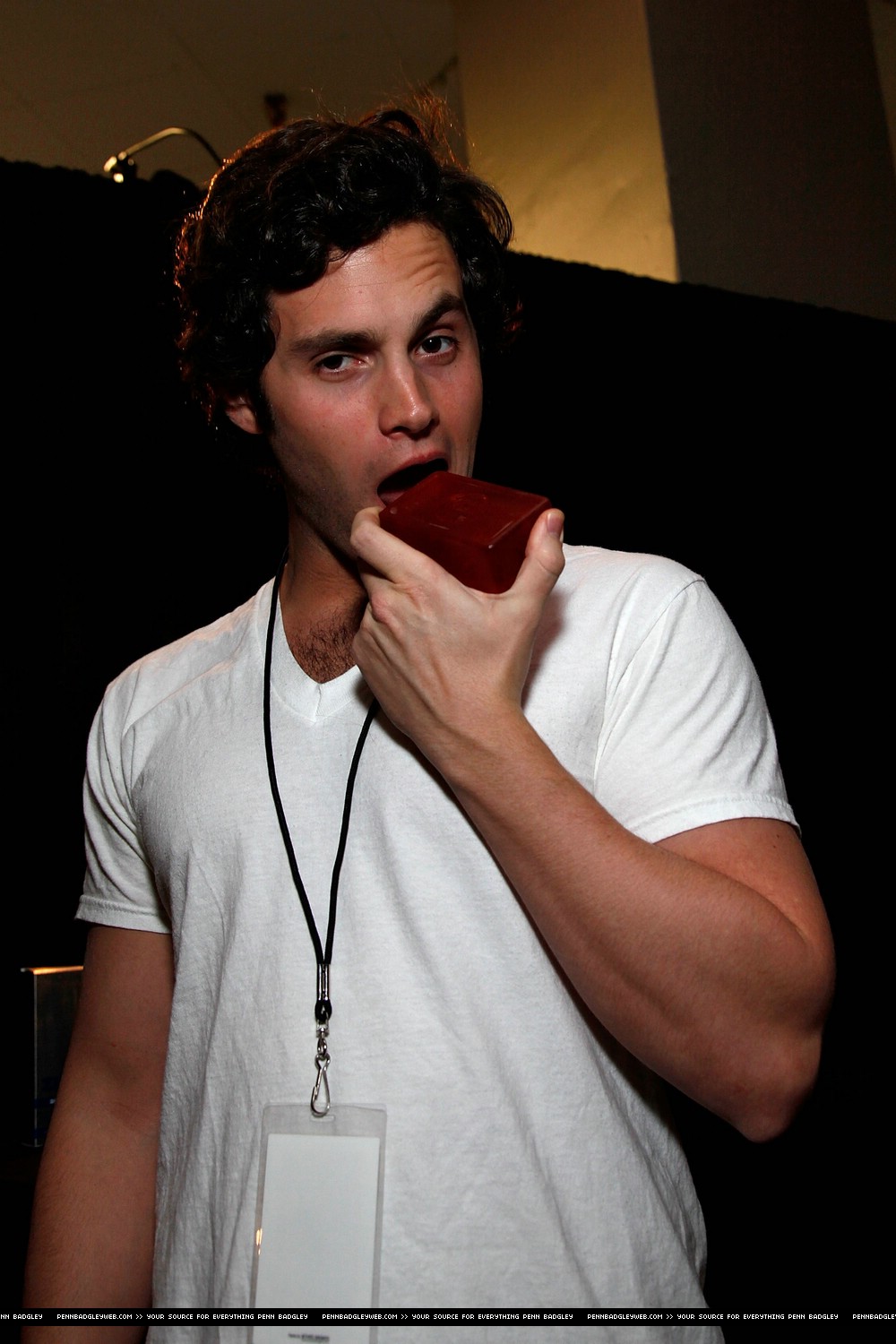 Penn Badgley