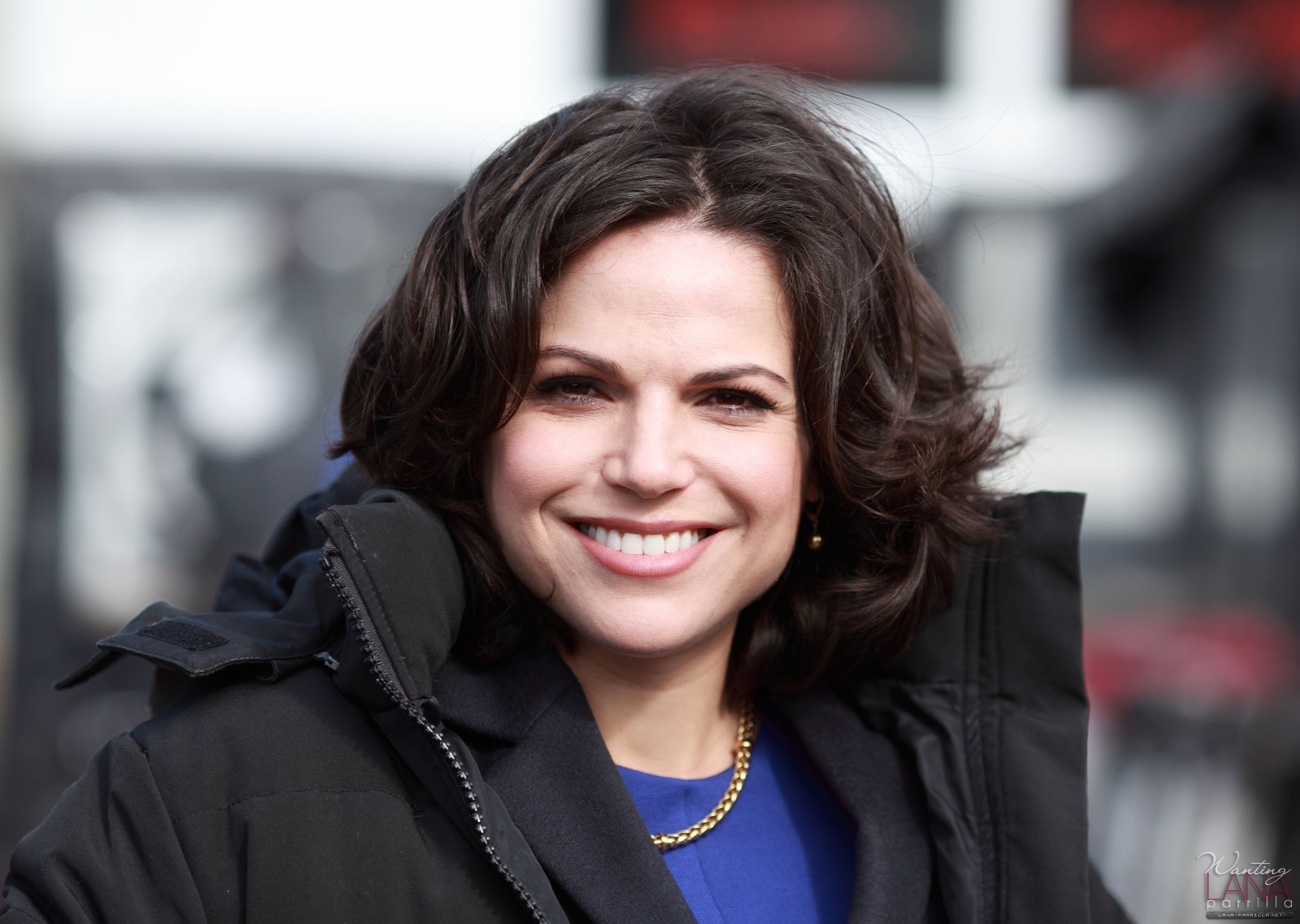 Lana Parrilla Fakes