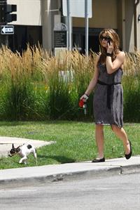Ashley Greene walking her dog around her hotel in Detroit on July 17, 2010 