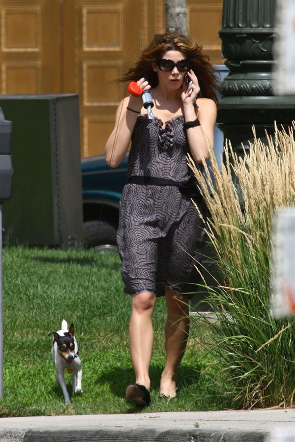 Ashley Greene walking her dog around her hotel in Detroit on July 17, 2010 