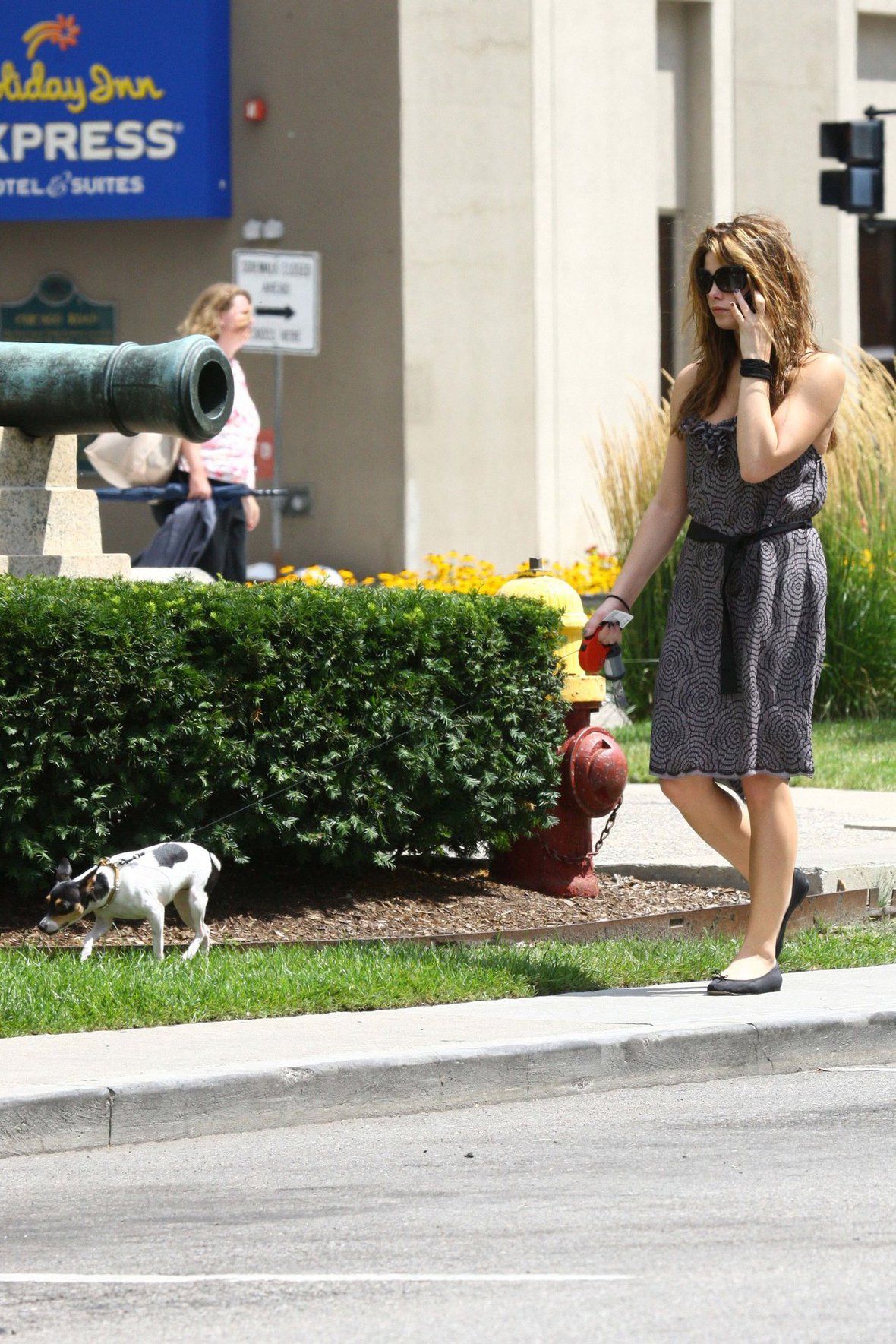 Ashley Greene walking her dog around her hotel in Detroit on July 17, 2010 