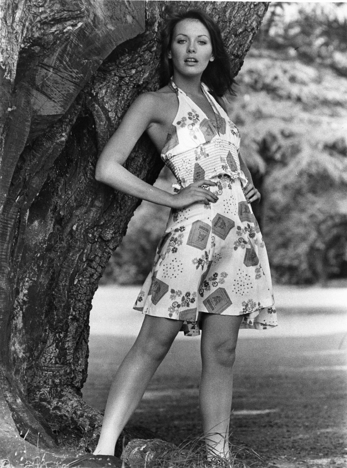 Lesley-Anne-Down