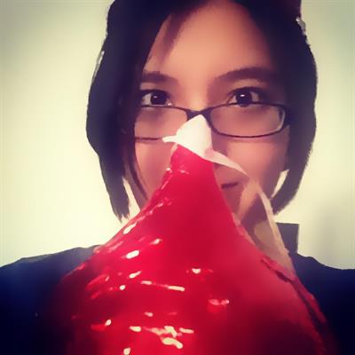 From the photo gallery on the Heaven Sent Gaming Fan Wiki.