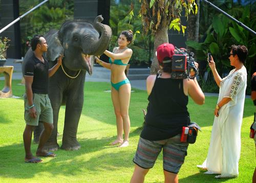 Kylie Jenner in a bikini