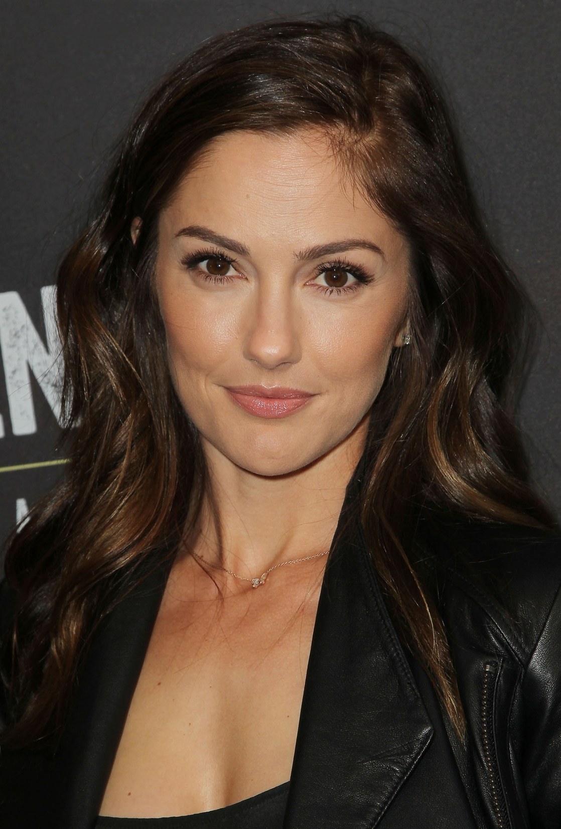 Minka kelly