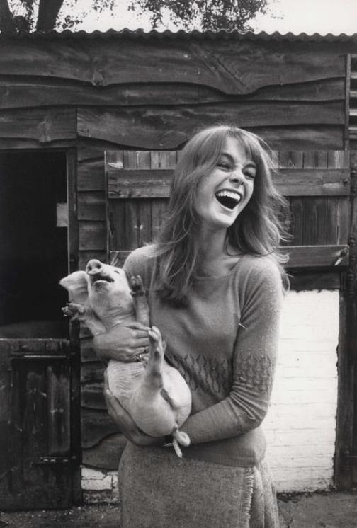 Jean Shrimpton