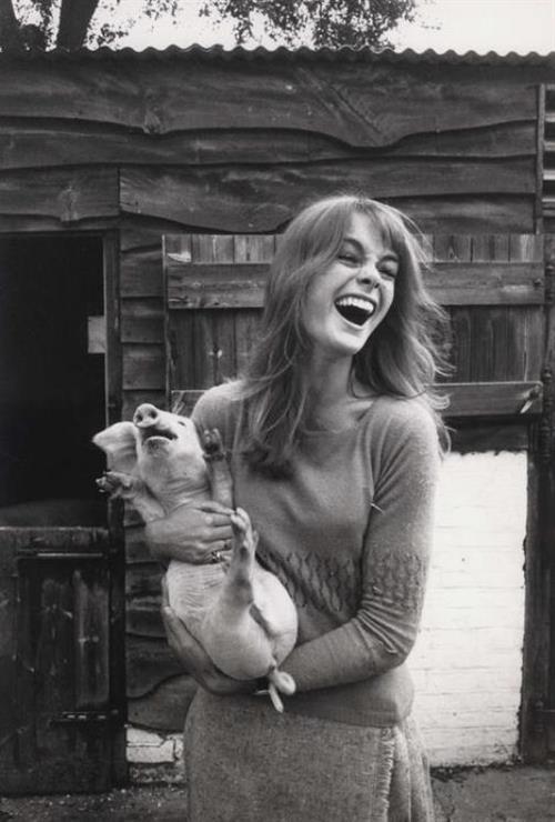 Jean Shrimpton
