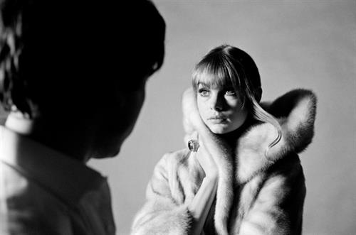 Jean Shrimpton
