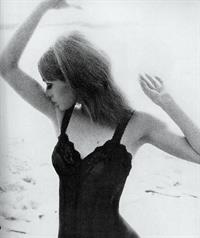 Jean Shrimpton