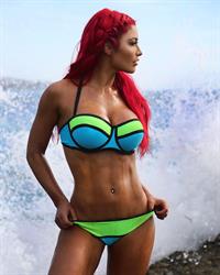Natalie Eva Marie in a bikini