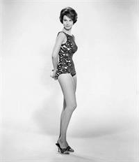 Paula Prentiss