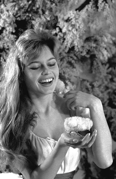 Brigitte Bardot