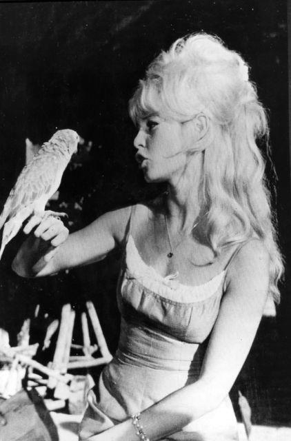 Brigitte Bardot