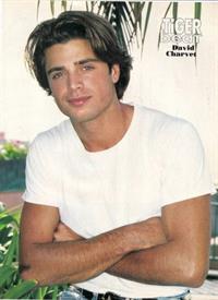 David Charvet