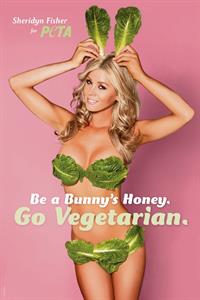 Sheridyn Fisher in a bikini