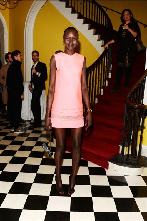 Alek Wek