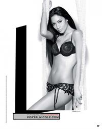 Nicole Scherzinger in lingerie