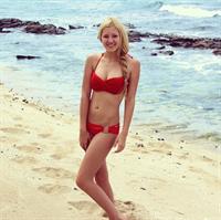 Ava Sambora in a bikini