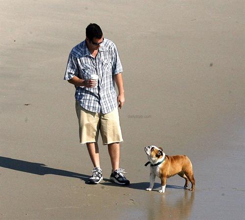 Adam Sandler