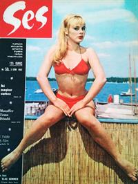 Elke Sommer in lingerie