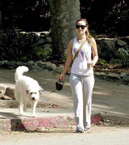 Olivia Wilde walking her dog in the Hollywood Hills on June 24, 2011