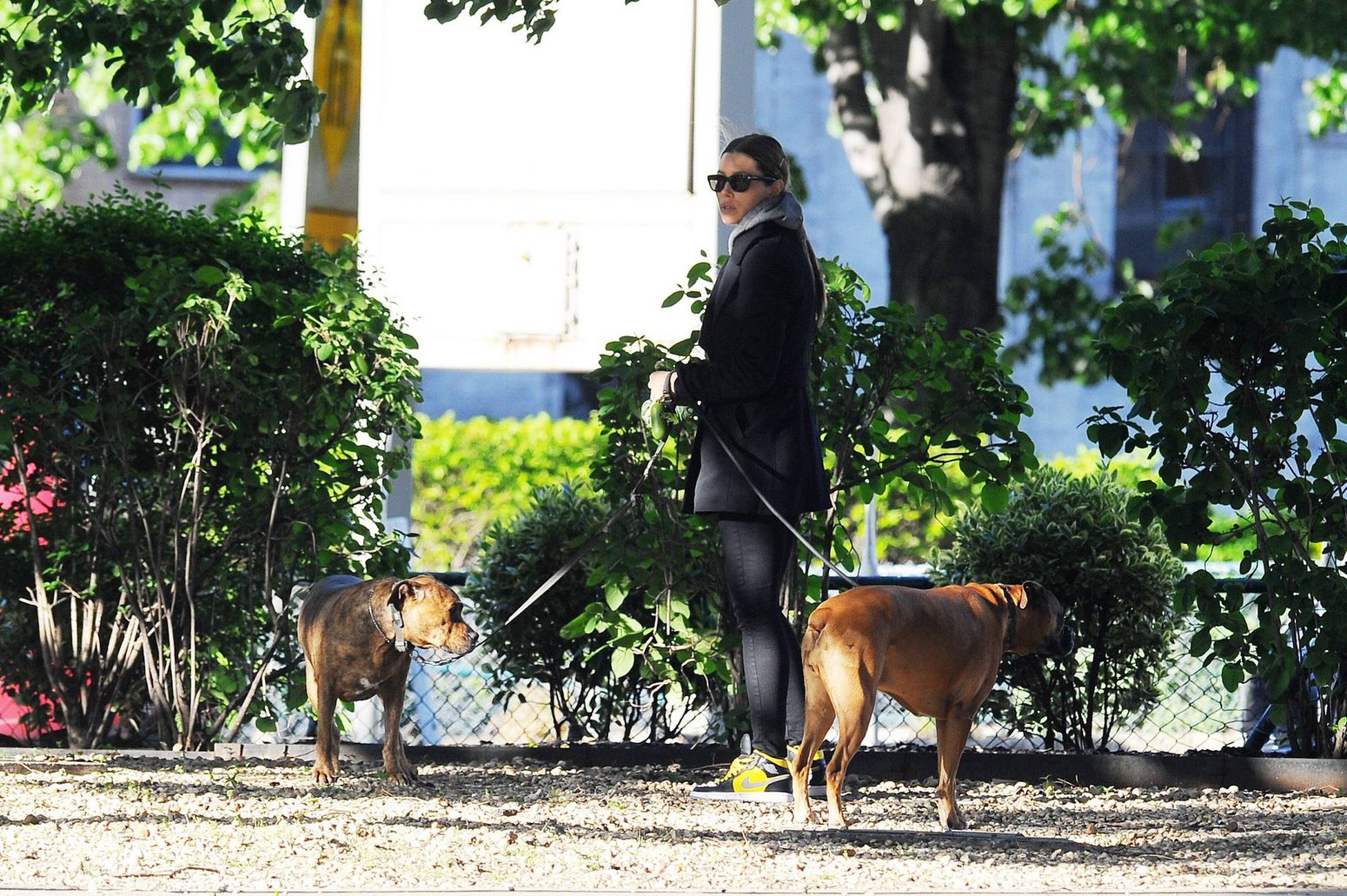 Jessica Biel Takes her two dogs for a long walk in SoHo (May 4, 2013) 