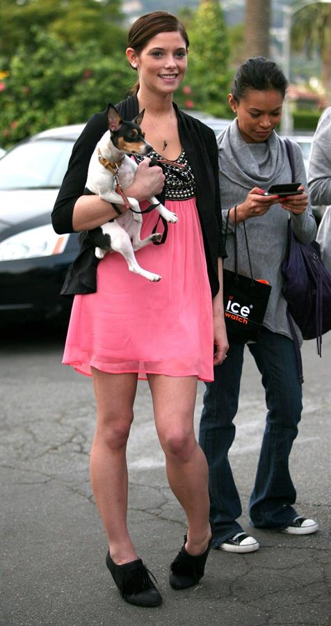 Ashley Greene and her dog Marlow out and about in Beverly Hills on January 15 