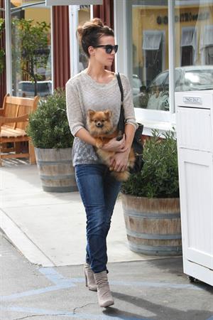 Kate Beckinsale out with her dog in Los Angeles 4/8/13 