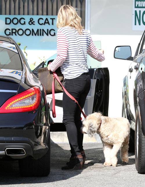 Ali Larter at the dog groomers in Los Angeles 10/22/13  