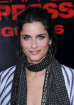Amanda Peet at the Pineapple Express premiere in Westwood 