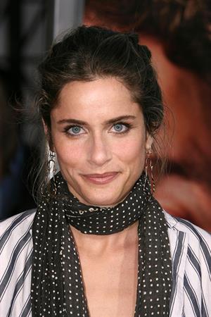 Amanda Peet at the Pineapple Express premiere in Westwood 