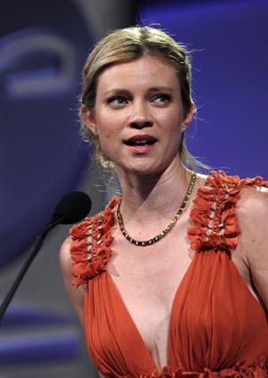 Amy Smart 8th Annual Visual Effects Society VES Awards in Century City February 28, 2010 