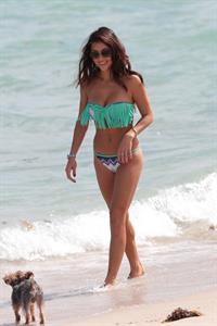 Arianny Celeste wears a sexy Bikini to the beach with her dog Bentley in Miami Nov 1, 2013 