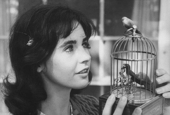 Millie Perkins