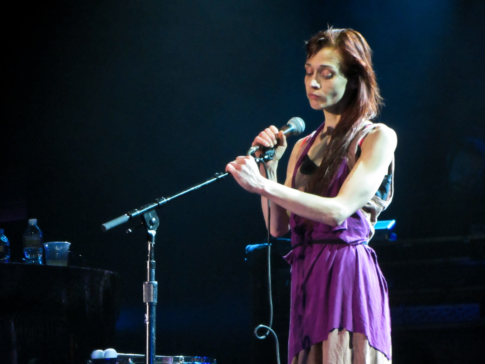 Fiona Apple - Performing at the Hollywood Palladium - July 29, 2012