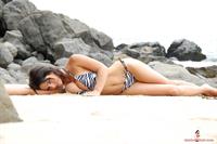 Denise Milani Bikini Pictures Denise Milani in a bikini