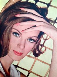 Nena von Schlebrügge