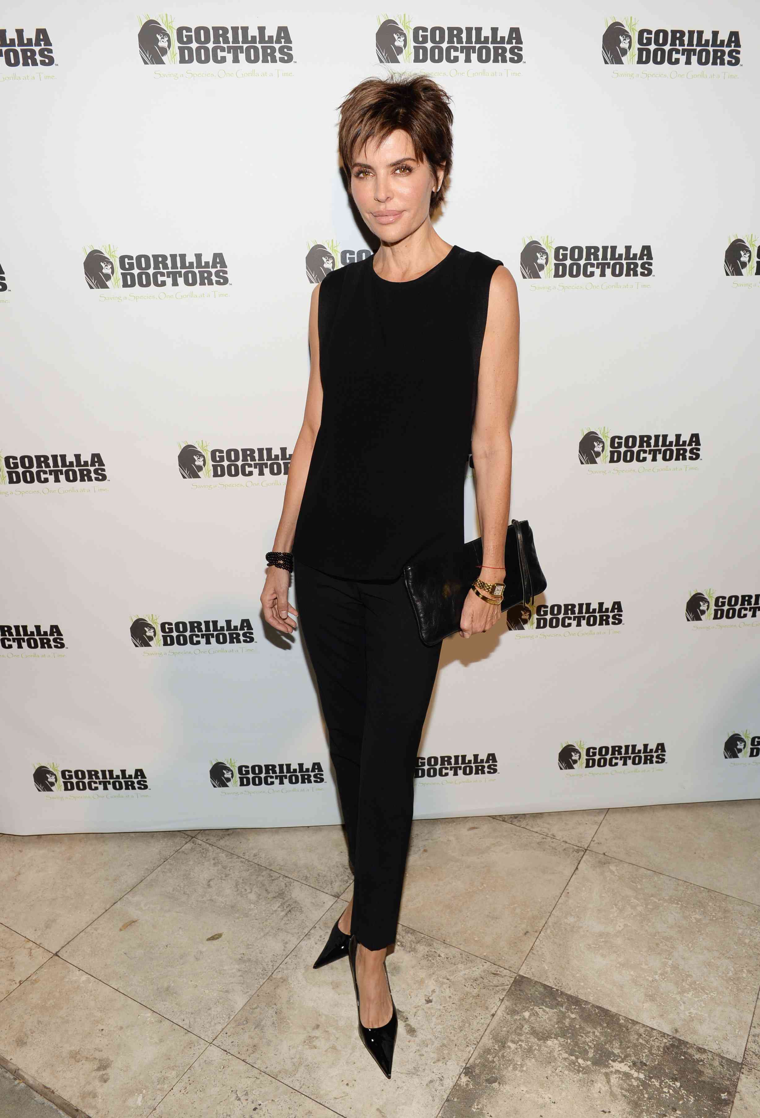 Lisa Rinna Gorilla Doctors of Africa Benefit Event (November 4, 2013) 