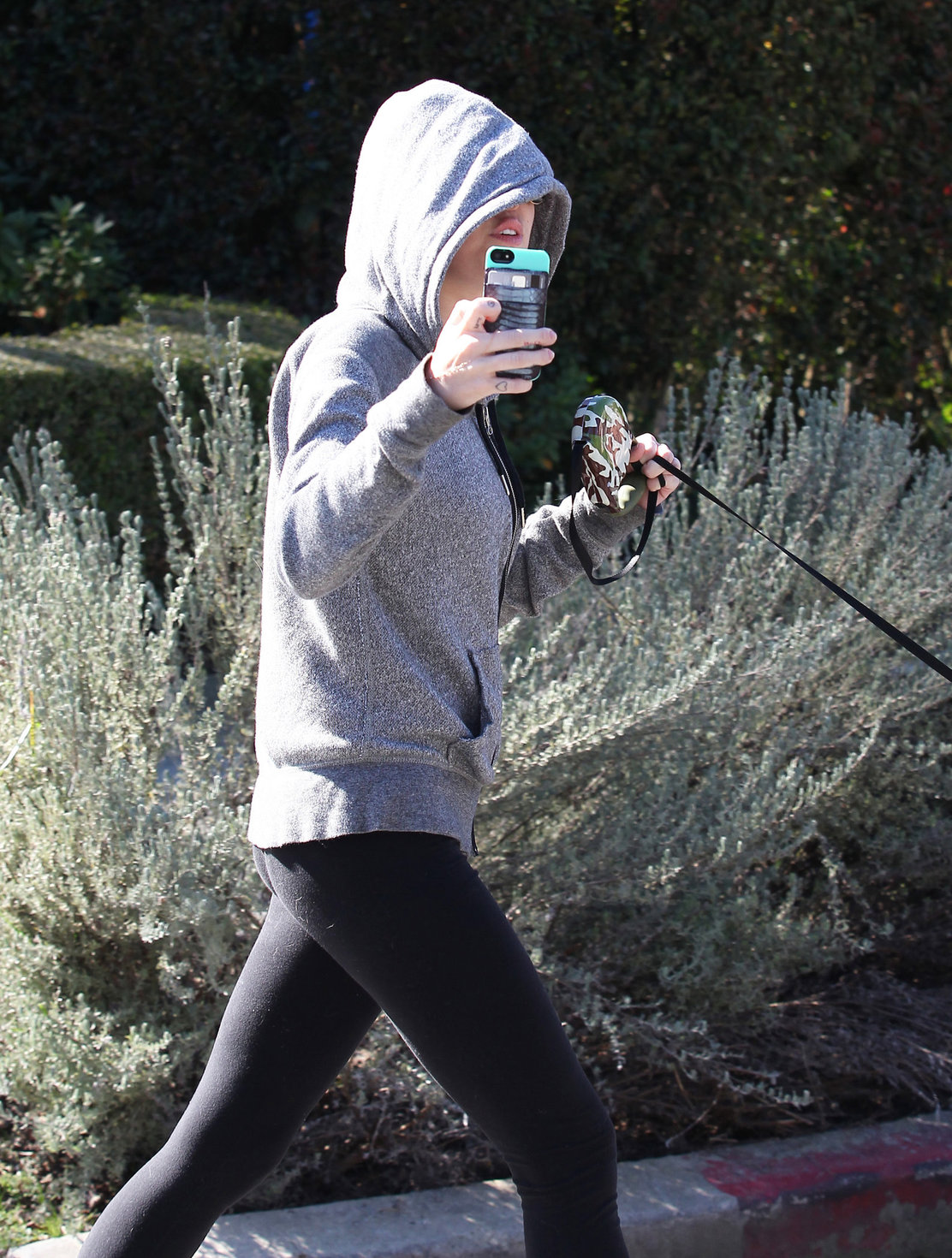 Miley Cyrus walking her dog in Studio City 1/28/13 