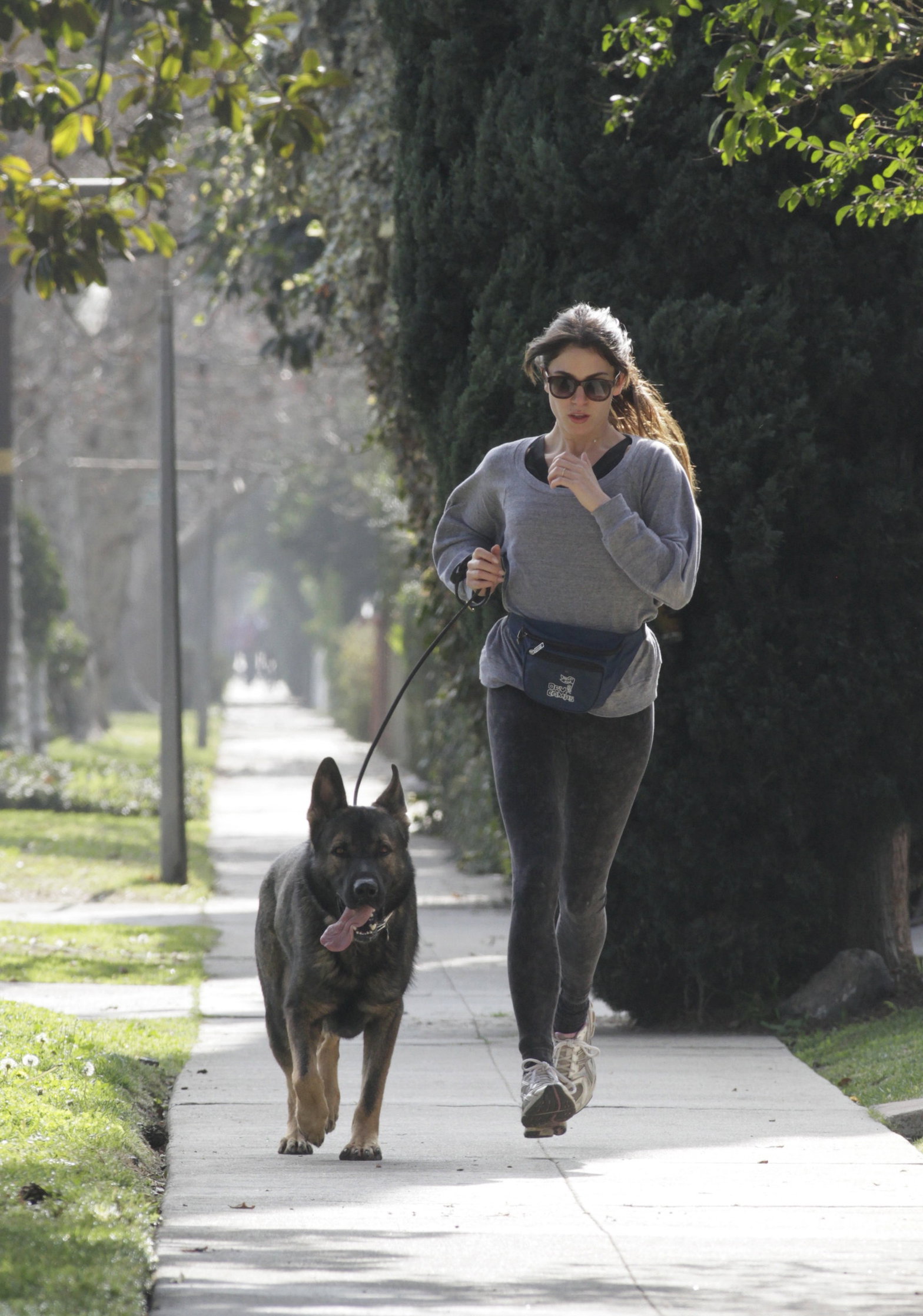 Nikki Reed jogging with her dog Enzo in Los Angeles on February 6, 2013