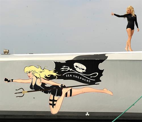 Pamela Anderson Launches Sea Shepherds Operation Zero Tolerance Whale Defense Campaign on November 2, 2012 
