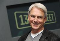 Mark Harmon