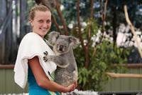 Petra Kvitova Holds a Koala during a visit to the Lone Pine Koala Sanctuary December 28, 2012 