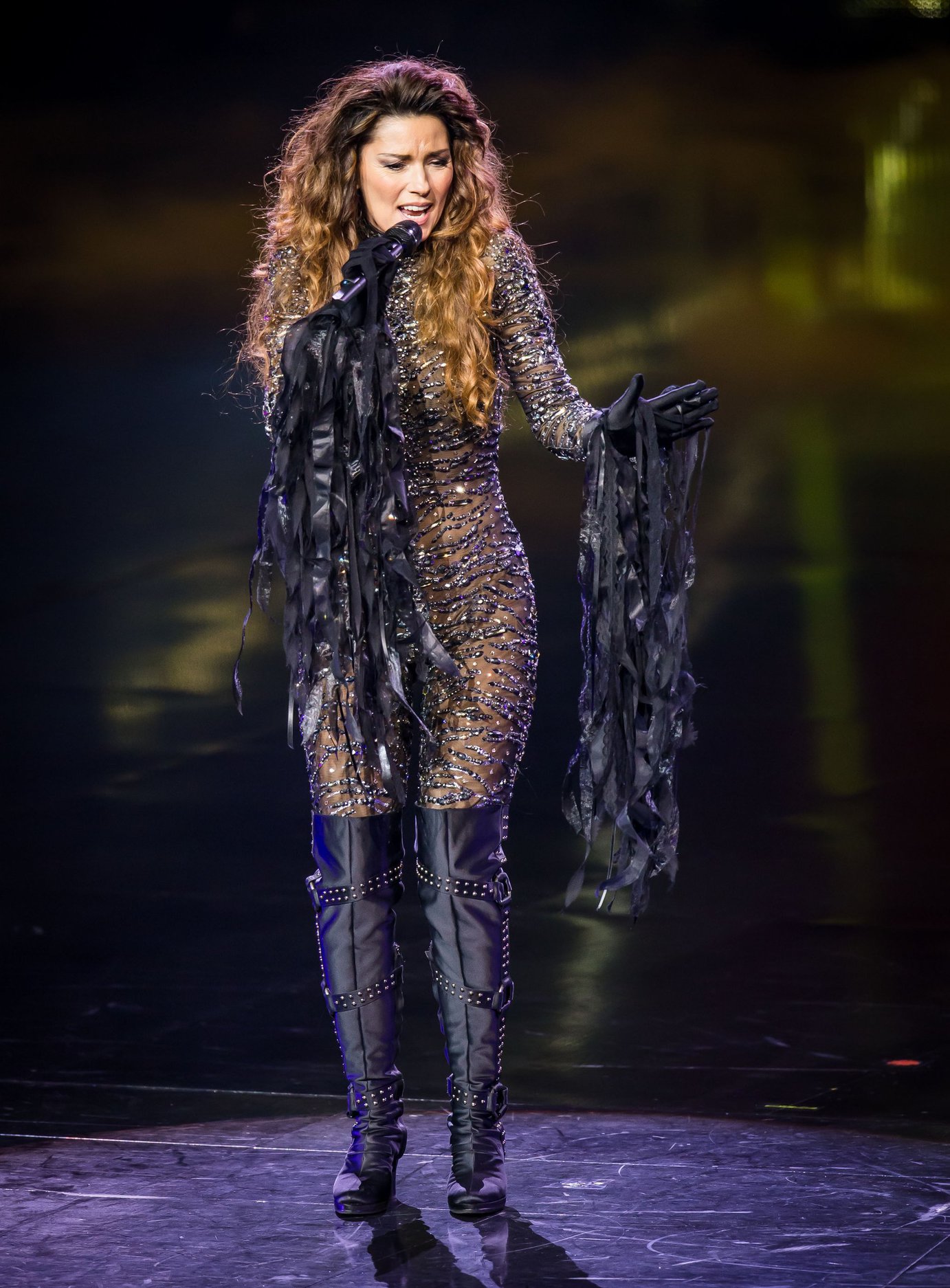 Shania Twain 'Still The One' Residency Show Opening Night (December 1, 2012) 