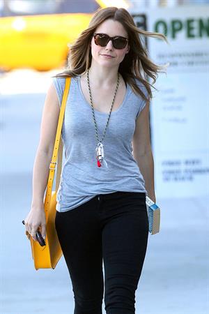 Sophia Bush and Topher Grace Have Lunch Together on July 27, 2012, Los Angeles, California