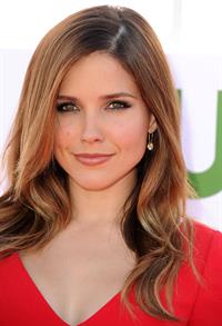 Sophia Bush arrives at the 2012 TCA Summer Tour - CBS, Showtime And The CW Party at 9900 Wilshire Blvd on July 29, 2012 in Beverly Hills, California