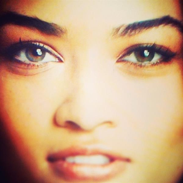 Shanina Shaik