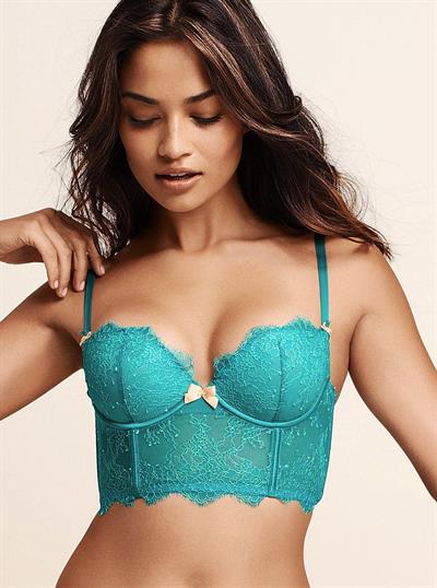 Shanina Shaik in lingerie