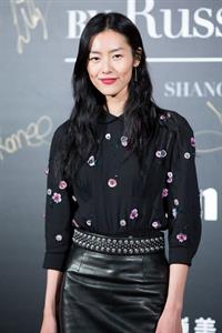 Liu Wen